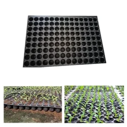 Siddhi 126 Cavities (Round Shape) Reusable Plastic Seedling Tray for Nursery and Gardening(Pack-10 Pcs)